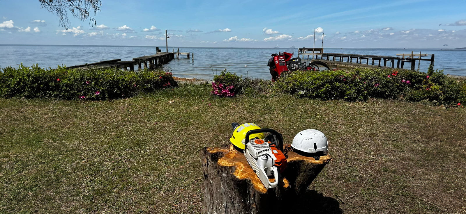 Risks and Dangers of DIY Stump Grinding