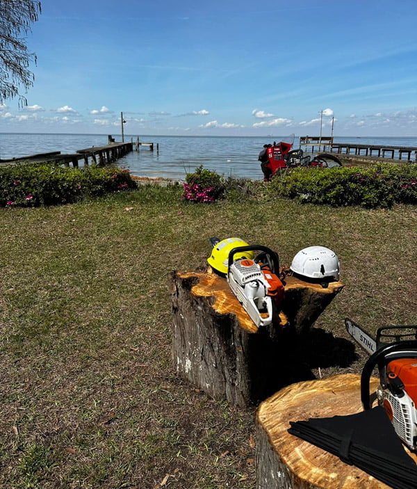 Tree removal Chapin, Stump Removal Chapin